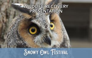 Wildlife Recovery Association (Feb 3) cover picture