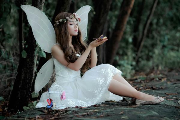 Twilight Fairy Festival