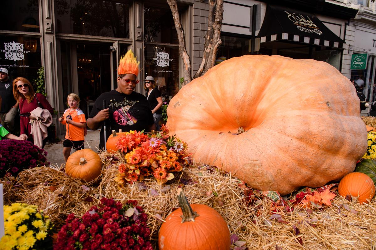 Pumpkin Fest 2024 Near Me Location Maia Shoshanna