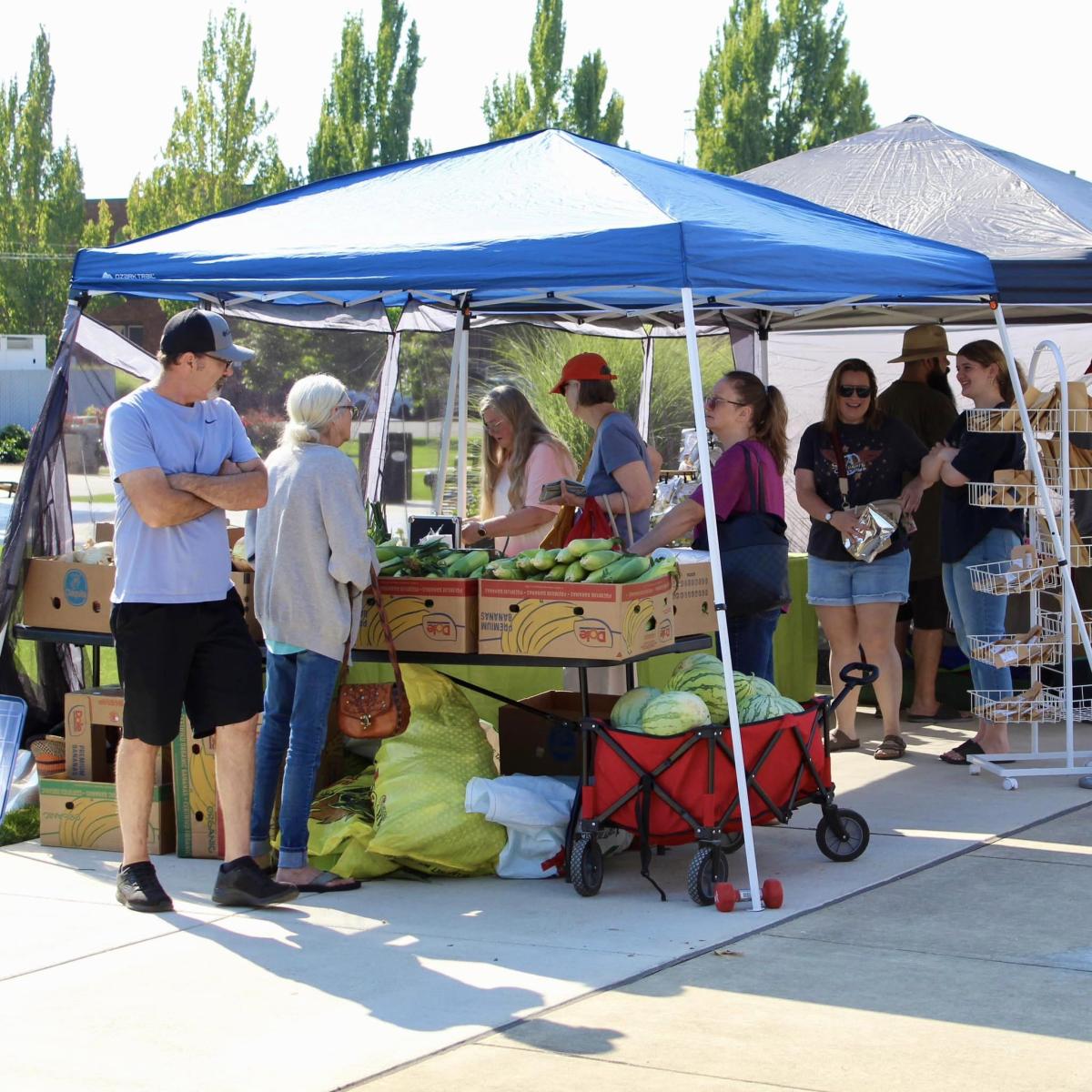 Dallas Farmers Market - 2025