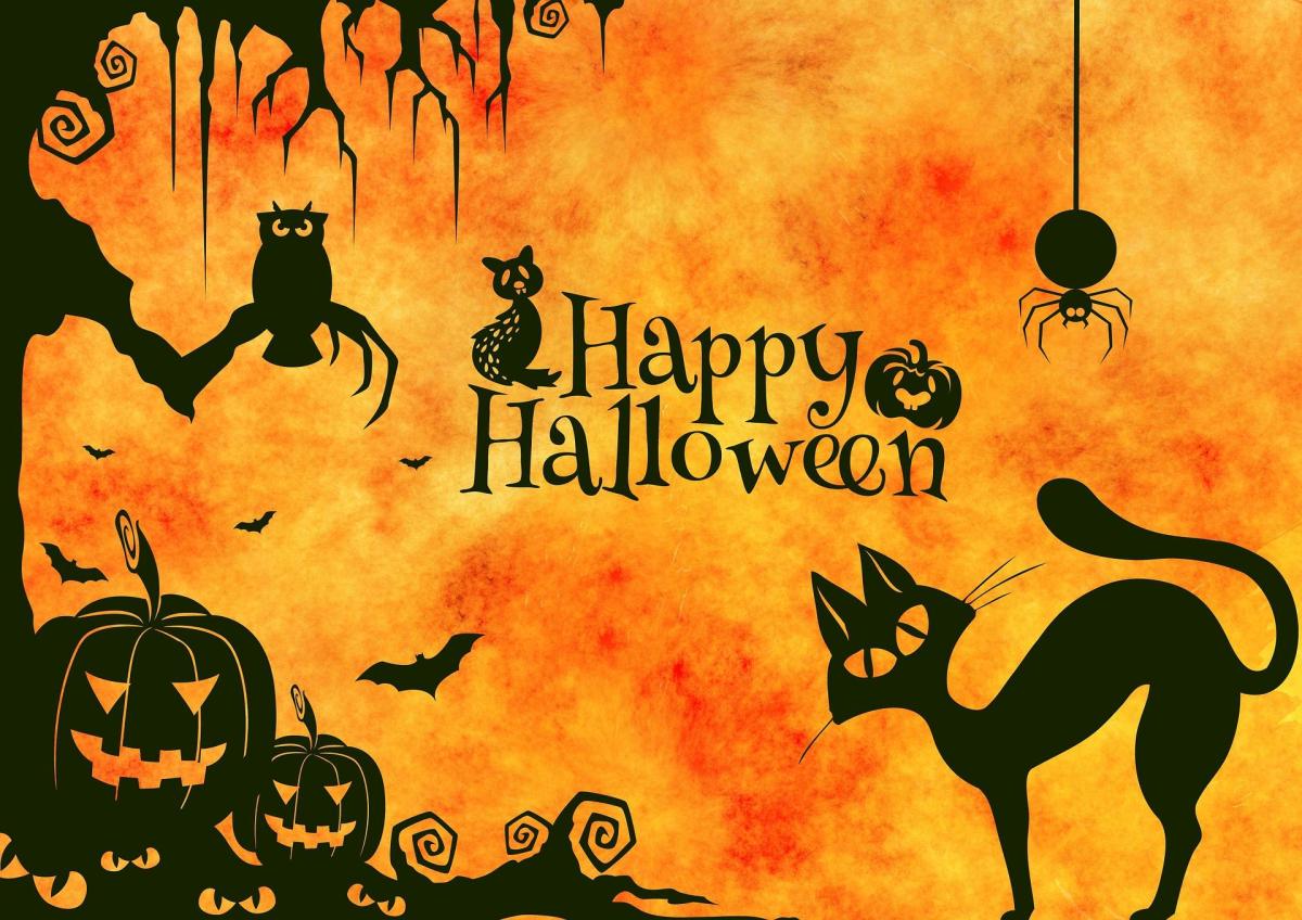 Queer Trick or Treat Halloween Carnival cover image