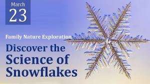 Science of Snowflakes cover picture
