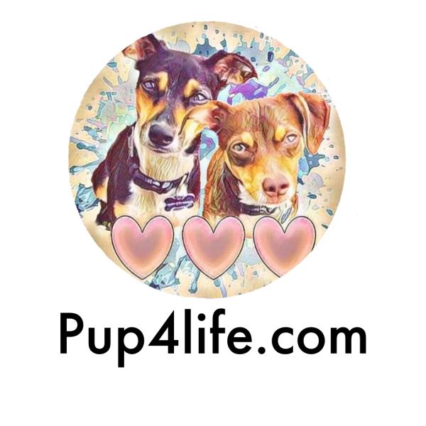 Pup4life.com