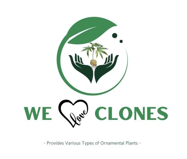 WE LOVE CLONES