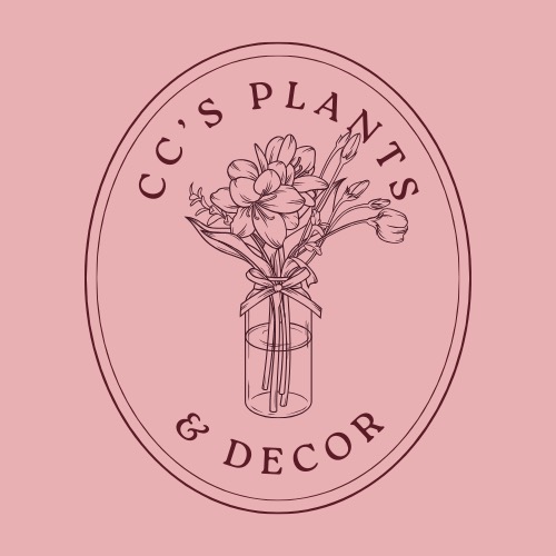 CC's plants &decor