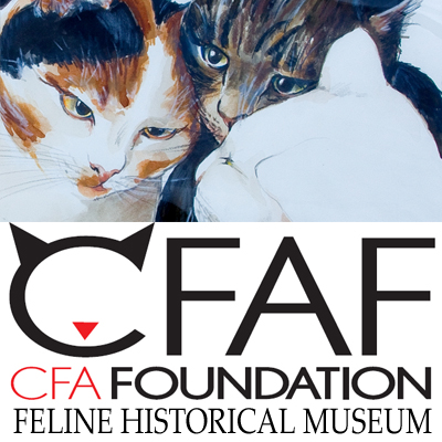 CFA Foundation