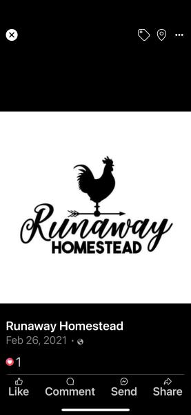 Runaway Homestead