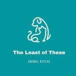 The Least of These Animal Rescue