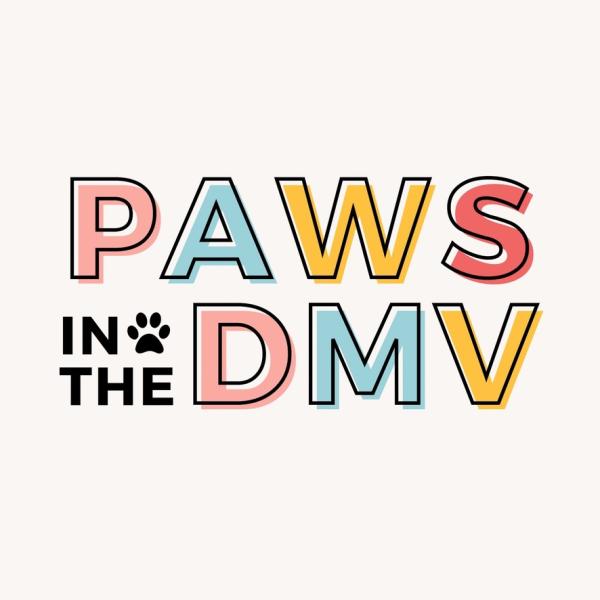 Paws in the DMV