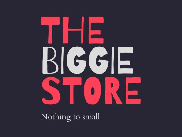 Biggie store llc