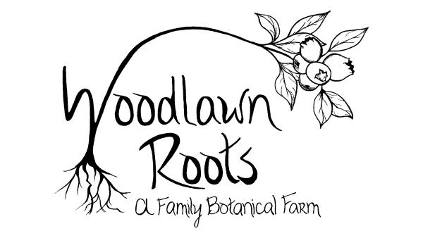 Woodlawn Roots