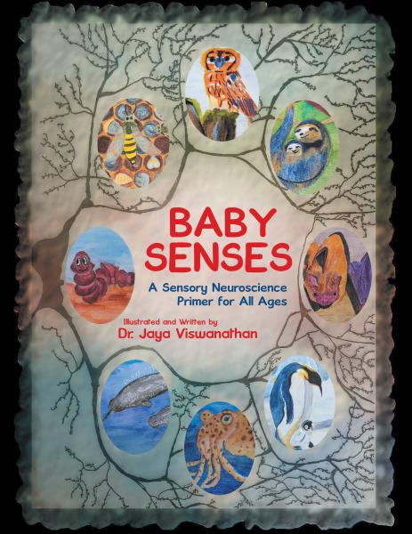 Baby Senses