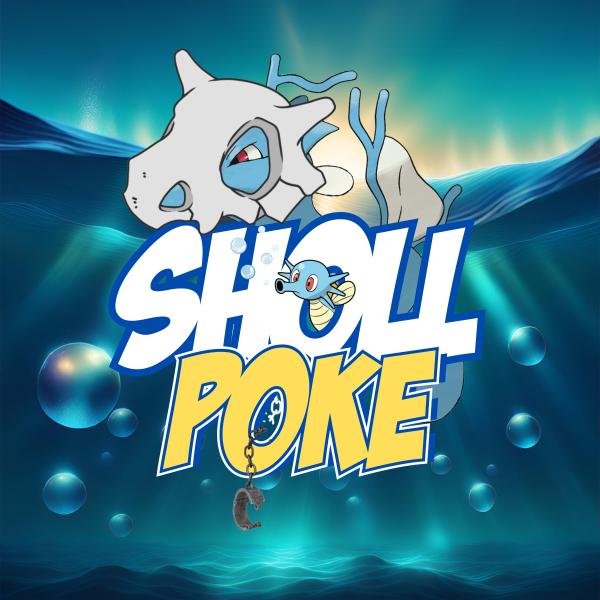 Shollpoke LLC