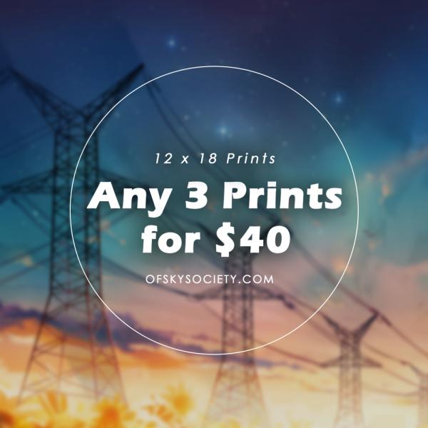 Pick any 3 Prints, 12x18 Inch picture