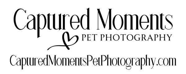 Captured Moments Pet Photography