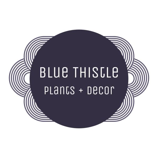 Blue Thistle