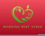 Morning Mist Acres