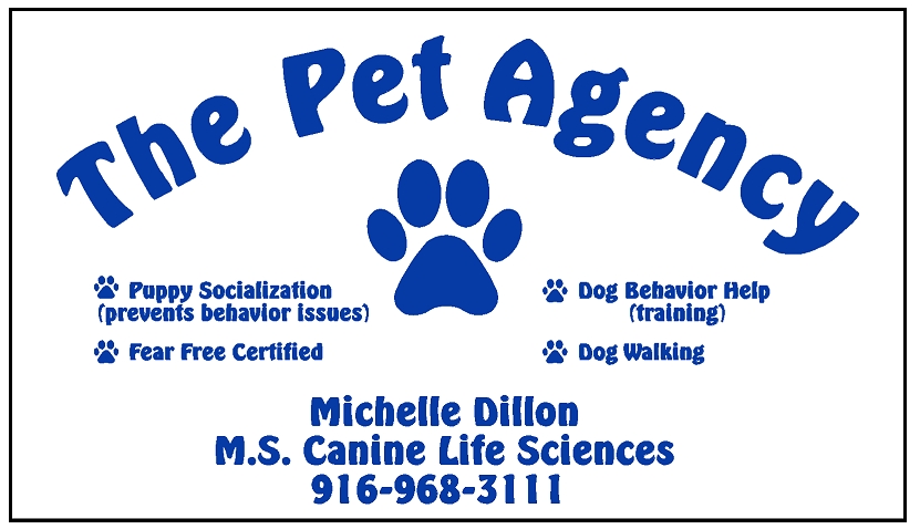 The Pet Agency