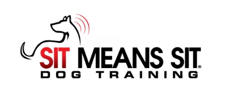 Sit Means Sit Dog Training