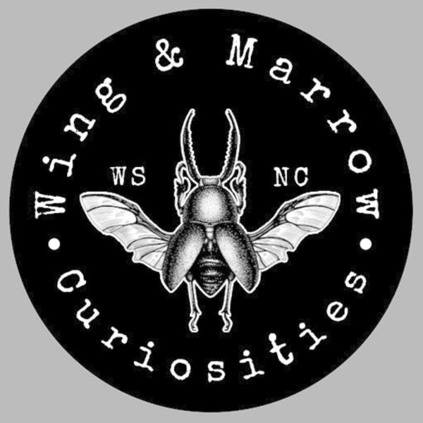 Wing&Marrow Curiosities