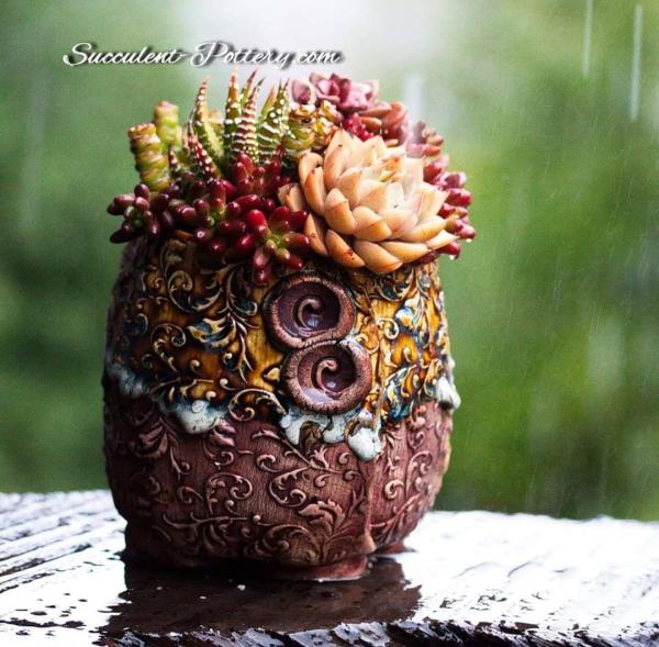 Succulent-Pottery