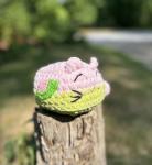 Crochet Amigurumi Watermelon Fruity Cat Plush