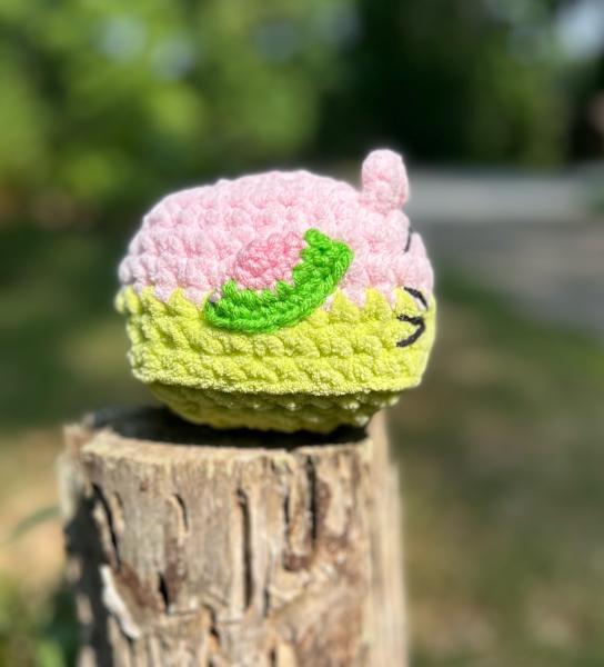 Crochet Amigurumi Watermelon Fruity Cat Plush picture