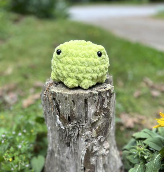 Crochet Amigurumi Small Green Frog Plush picture