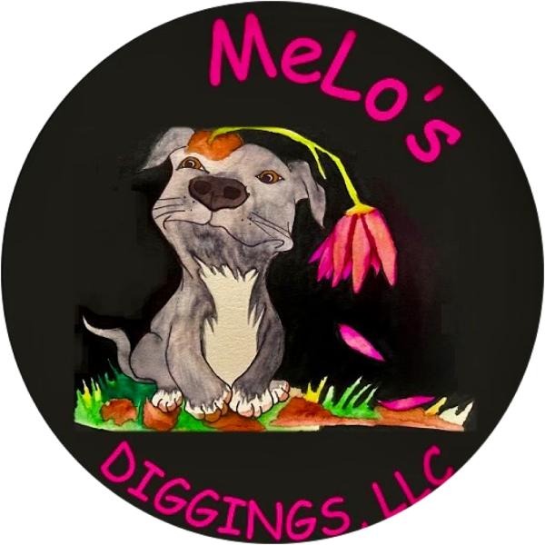 Melo’s Diggings