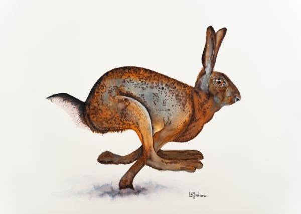 Running Hare Artist