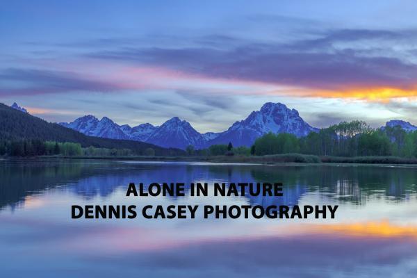 Dennis Casey Photography