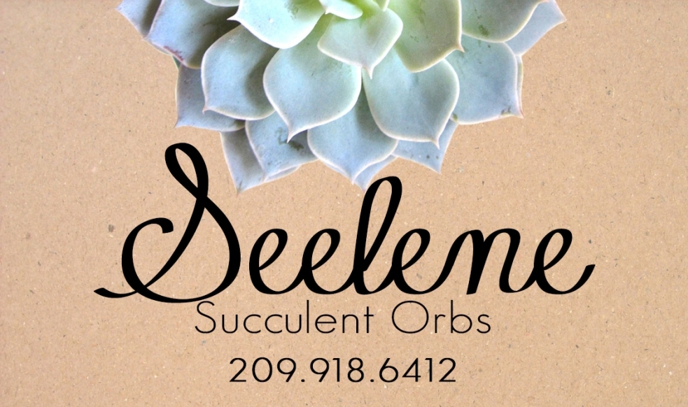 SEELENE SUCCULENTS