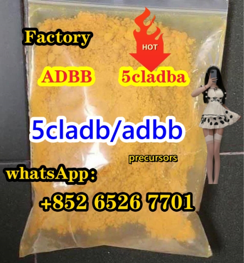 Factory direct sales  5   CL  A  DB   A, 5F-A  D  B 100% safe and grea