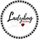 Ladybug Studio