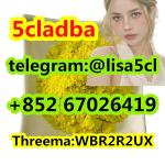 BUY 5CLADBA ONLINE 5CLADBA POWDER FOR SALES