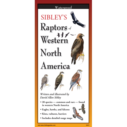 Sibley's Raptors of North America  Guide