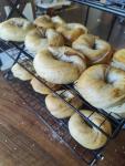 Sourdough Bagels