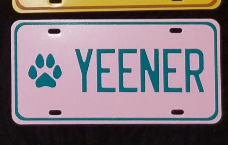 Your Name Here License Plate (Light Pink) picture