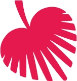 Palmetto Community Care logo