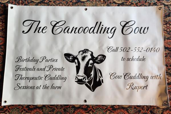 The Canoodling Cow