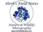 Herb's Field Notes