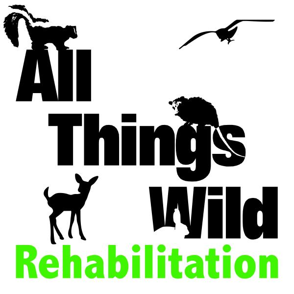 All Things Wild Rehabilitation