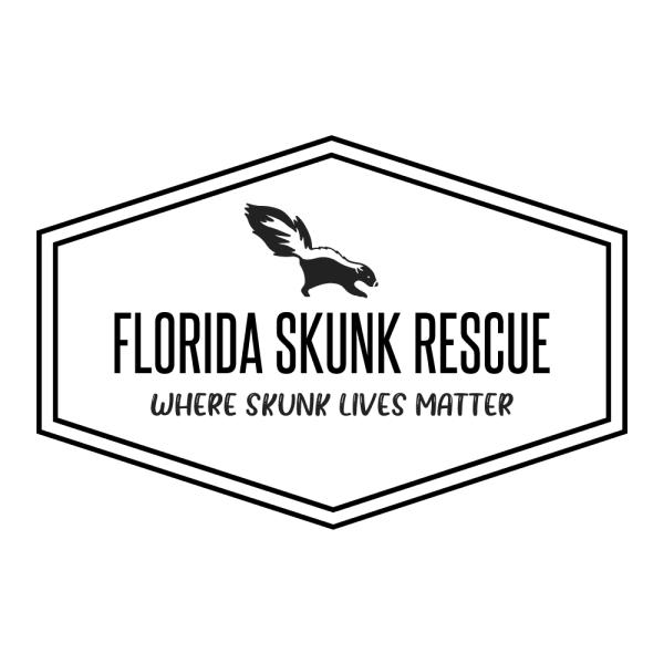 Florida Skunk Rescue