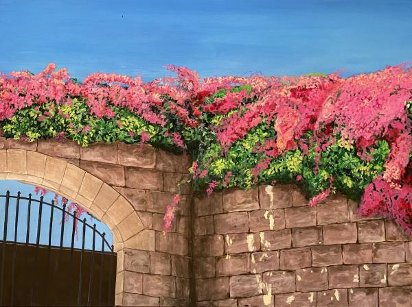 Bougainvillea picture