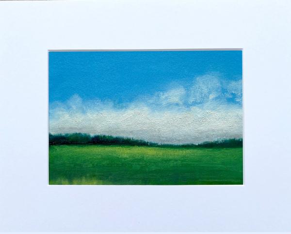 Blue skies over green fields picture