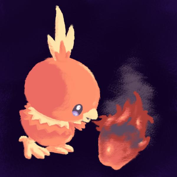 Torchic picture