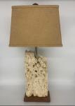 Natural Top Fossilized Coral Lamp