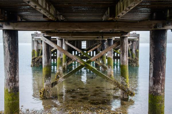 Under the Pier picture