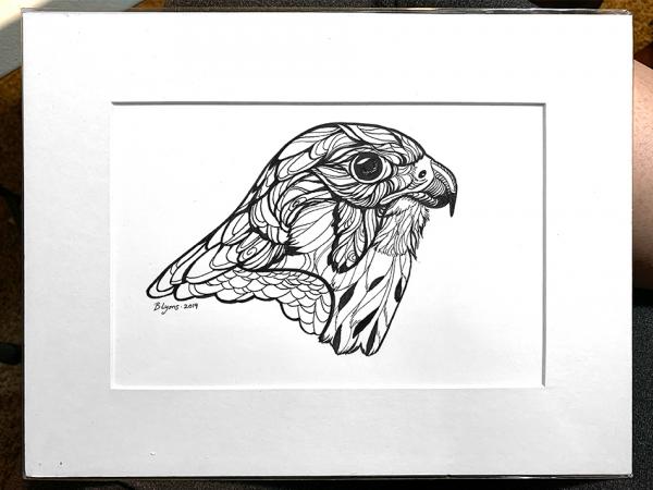 Peregrine Falcon - Original Ink Drawing picture