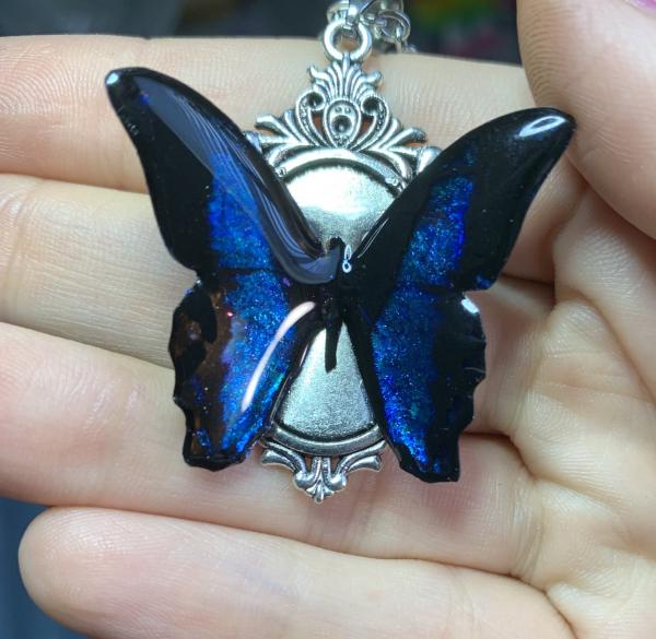black and blue butterflies